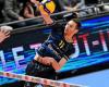 Spacer’s volleyball: “I want to see what one more season can be like”, confides Julien Winkelmuller, the Toulouse player