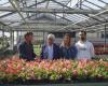 6 good reasons to participate in the Municipal Greenhouses open days