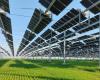 ENERGY: TSE and Dijon Céréales inaugurate an agrivoltaic site in Verdonnet