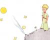 The Little Prince is your favorite book if you get 5/5 on this quiz