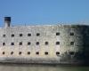 Deprived of the use of his legs, this Charente swimmer connected Fort Boyard to La Rochelle in six hours
