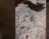 Bad weather: Tremblay-en-France covered in hail