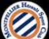 L1: Toulouse 1-1 Montpellier (mid-time)