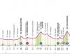 Giro. Tour of Italy – Tadej Pogacar in Pink from the 1st stage? Career and profile