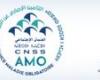 projects related to the organization have been launched in all sectors (F. Lekjaa)