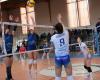 Castres. Volleyball: the Hornets want to finish their season in style