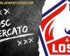 Before Lille – Lyon, a golden coup at 0€ still confirmed at LOSC?