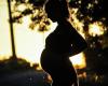 exposure during pregnancy impacts fetal development