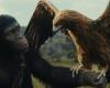 Cinema releases: “Planet of the Apes: The New Kingdom”, the return of the saga