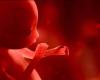 How air pollution alters fetal development during pregnancy