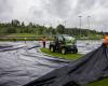 Covered football fields in Kloten (ZH) against the Japanese beetle