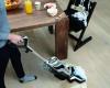 Cdiscount shakes up the competition by crushing the price of this multifunction vacuum cleaner