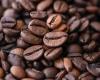 Robusta coffee prices hit 45-year high in April – CommodAfrica