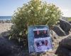 New disturbing elements in the investigation into the death of the 3 surfers thrown into a well