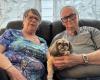 “She saved our lives”: a sick elderly couple unable to find accommodation that accepts their dog