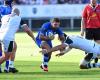 CO – Montpellier in Top 14: “We will do the accounts at the end” promises Castres scrum half Jérémy Fernandez