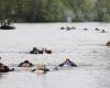 Val-d’Oise: Around a hundred swimmers descended the Oise
