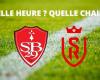 Brest – Reims: at what time and on which channel to watch the match live?