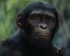 Is Planet of the Apes better than Avatar? Wes Ball answers us