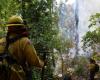 Mexico fights 159 forest fires in the middle of a heatwave (photos)