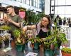 An unmissable festival with workshops and masterclasses to test your green thumb in Paris – Paris ZigZag