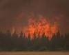 Forest fires: BC offers tools so residents are better prepared | Forest fires in Canada