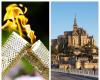 Passage of the Olympic flame through Mont-Saint-Michel: Everything you need to know