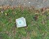 Police Warn Not To Pick Up Folded Dollar Bills You Might Find In Your Yard