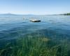 EPFL launches a participatory project to assess the health of Lake Geneva