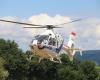 Loaded by a Salers cow in Cantal, a sixty-year-old airlifted to Clermont-Ferrand
