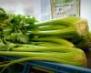 Celery, vitality and beauty: This vegetable revolutionizes your daily life