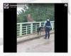 a man gives up jumping from the top of a bridge on the A9 when he sees his dog
