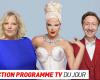 TV program: Eurovision Song Contest 2024, The Voice… what to watch on TV this evening?