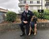 Angoulême: the police dog Scott distinguished by the society for encouraging the good of Charente