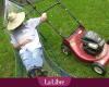 “In May, stop mowing”: here are all the benefits of leaving your lawn in peace