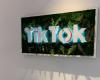 AI-generated content will be automatically flagged by TikTok – Image
