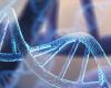 Muscular dystrophies: the list of identified genes grows with SNUPN