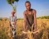 Urgent Action Critical as Malawi Faces Severe Drought – Malawi