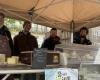 in Angers, a day to promote the organic sector