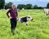 Sleeve. Between savings and ecology, farmer Emmanuel Auguste practices dynamic grazing