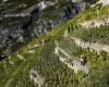 From the Alpes-de-Haute-Provence to Slovenia via Valais, do Alpine wines have similarities?
