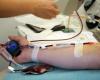 World Blood Donor Day: “an essential reminder” before the Paris Olympics