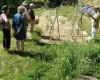 “Welcome to my natural garden” returns to South Aveyron