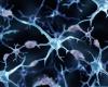 hope for treatment with brain-protecting protein