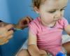 Vaccination in pharmacies, wearing a mask… How to fight whooping cough, this disease which killed two infants in Montpellier this year