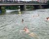 Charleville-Mézières: the mayor, Boris Ravignon, swims in the Meuse to reassure people about the quality of the water