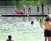 Are the swimming areas safe for this summer?