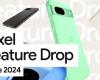 Pixel Feature Drop: the June 2004 update is full of new features!
