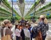 schoolchildren discover the agricultural world