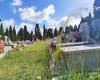 “The dead deserve better than that”: in this Nice cemetery, the weeds left by the city shock the loved ones of the deceased